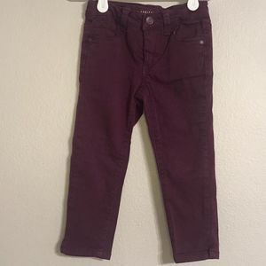 Celebrity Pink Toddlers Soft Pants